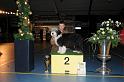 BOB PUP_2